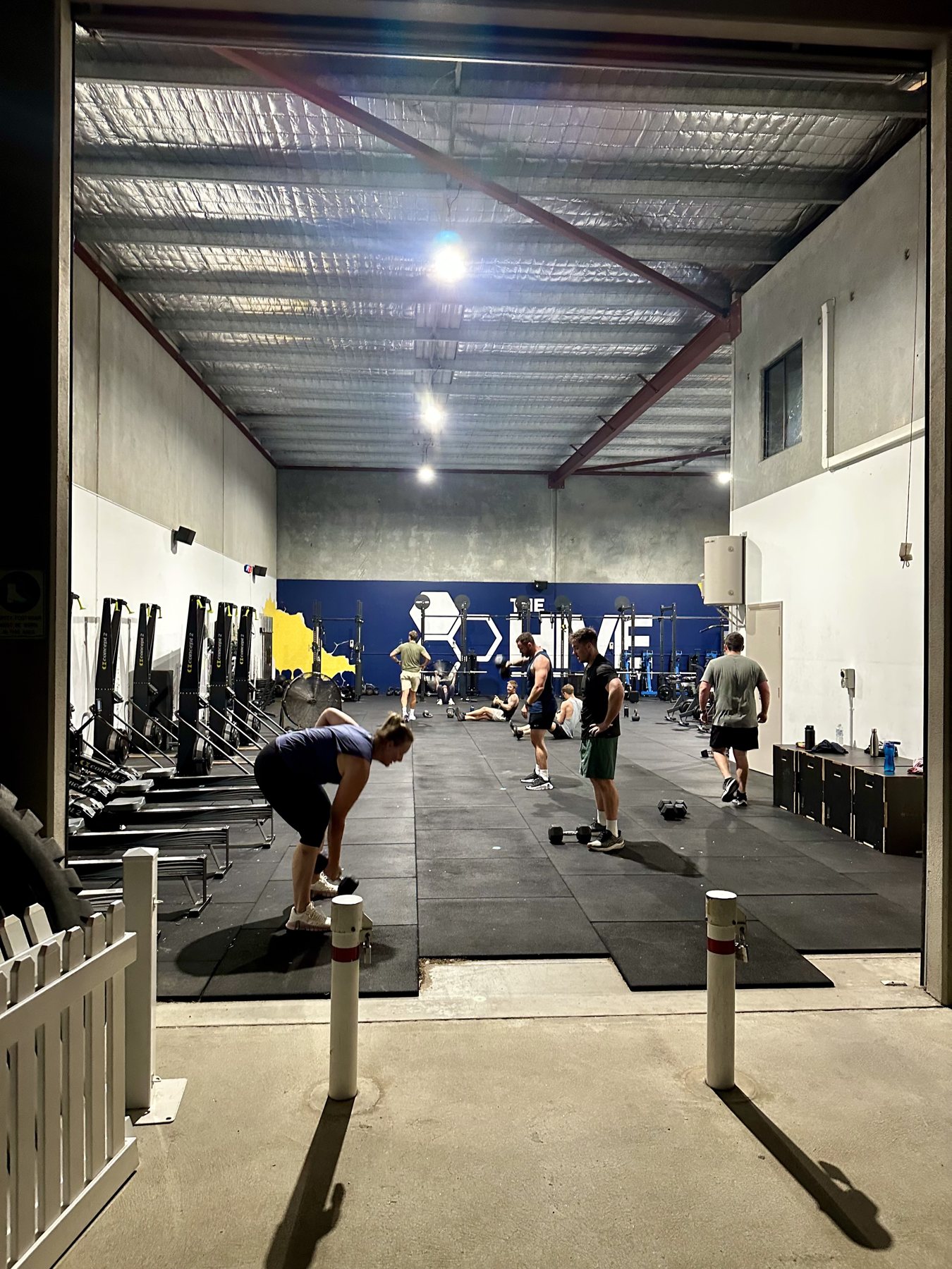 Members training together inside The Hive Gym